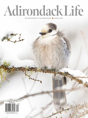 cover image of Adirondack Life